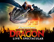 How To Train Your Dragon Live Spectacular