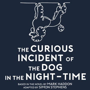 The Curious Incident of the Dog in the Night-Time