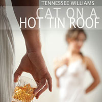 Cat On A Hot Tin Roof